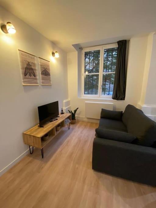 Апартаменти Cozy 1Br+Sofa Bed In Lyon Center Екстер'єр фото
